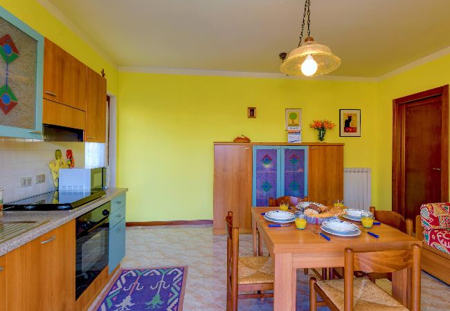 Villaggio dei fiori – Viola, foto 20