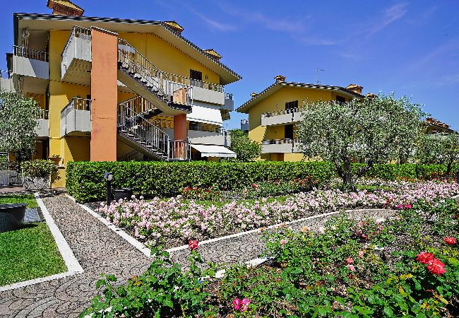 Villaggio dei fiori – Viola, foto 26