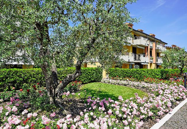 Villaggio dei fiori – Viola, foto 28
