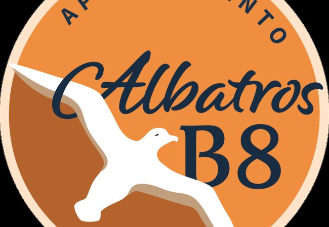 Albatros B8, foto 46