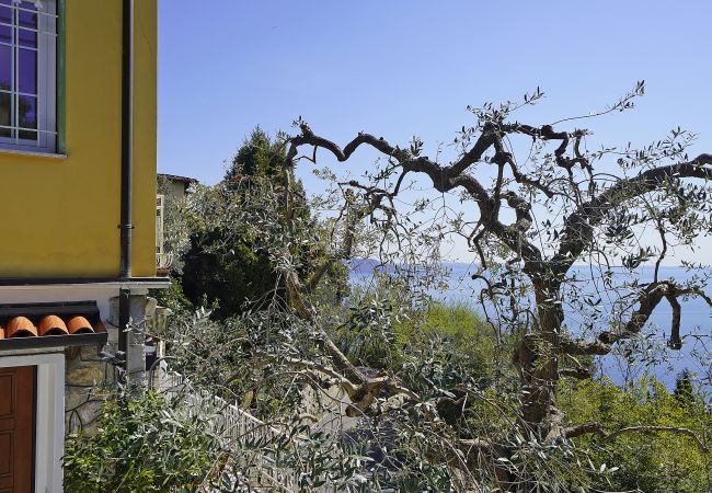 Villa Samanta, foto 59